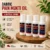 Dabbic Pain Mukti Oil 4 Bottle Combo herbal massage oil